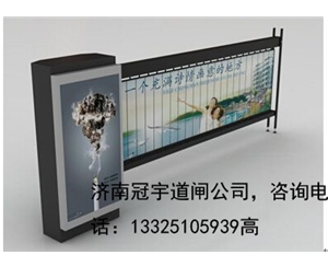 新泰威海400万高清车牌摄像机厂家，济南冠宇智能科技